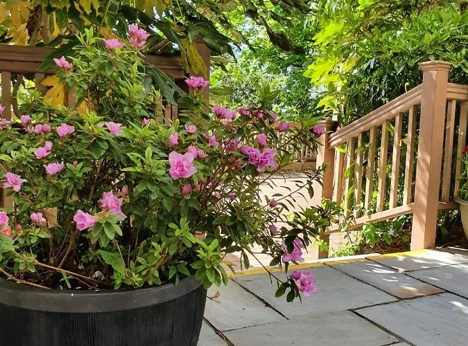 فندق The Ardilaun 4*