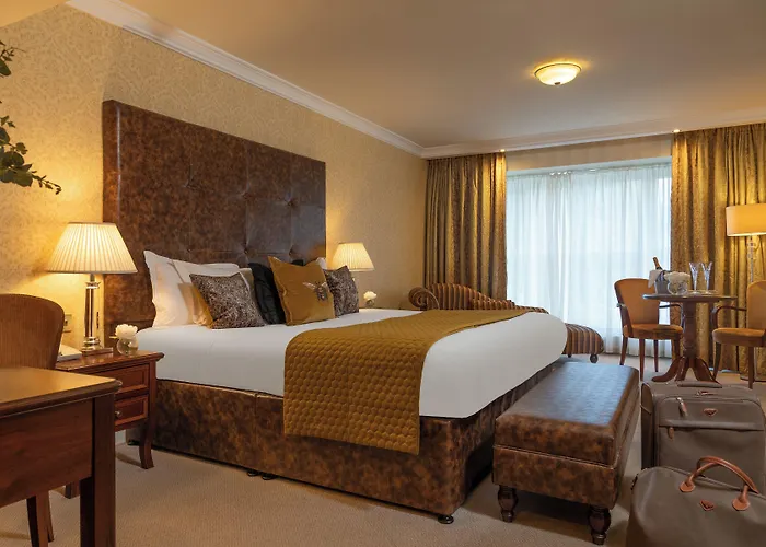 فندق The Ardilaun 4*