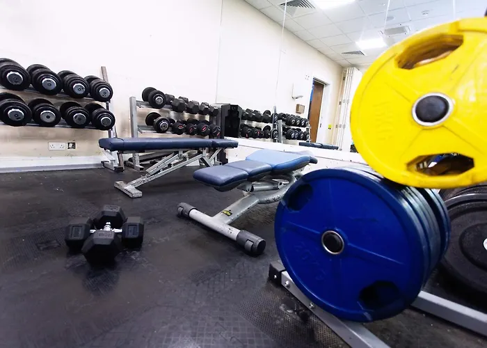 The Ardilaun فندق 4*