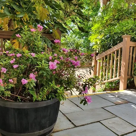 מלון The Ardilaun 4*